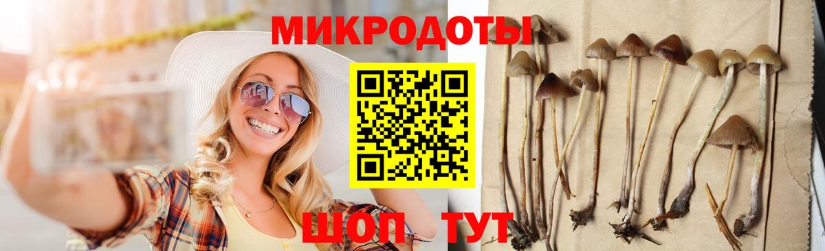 Псилоцибиновые грибы прущие грибы  Вход с VPN  Янаул 
